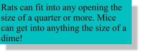 various shape and size text bubbles