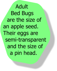 various shape and size text bubbles